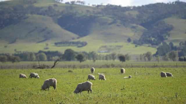 Drier conditions to drive down agricultural production