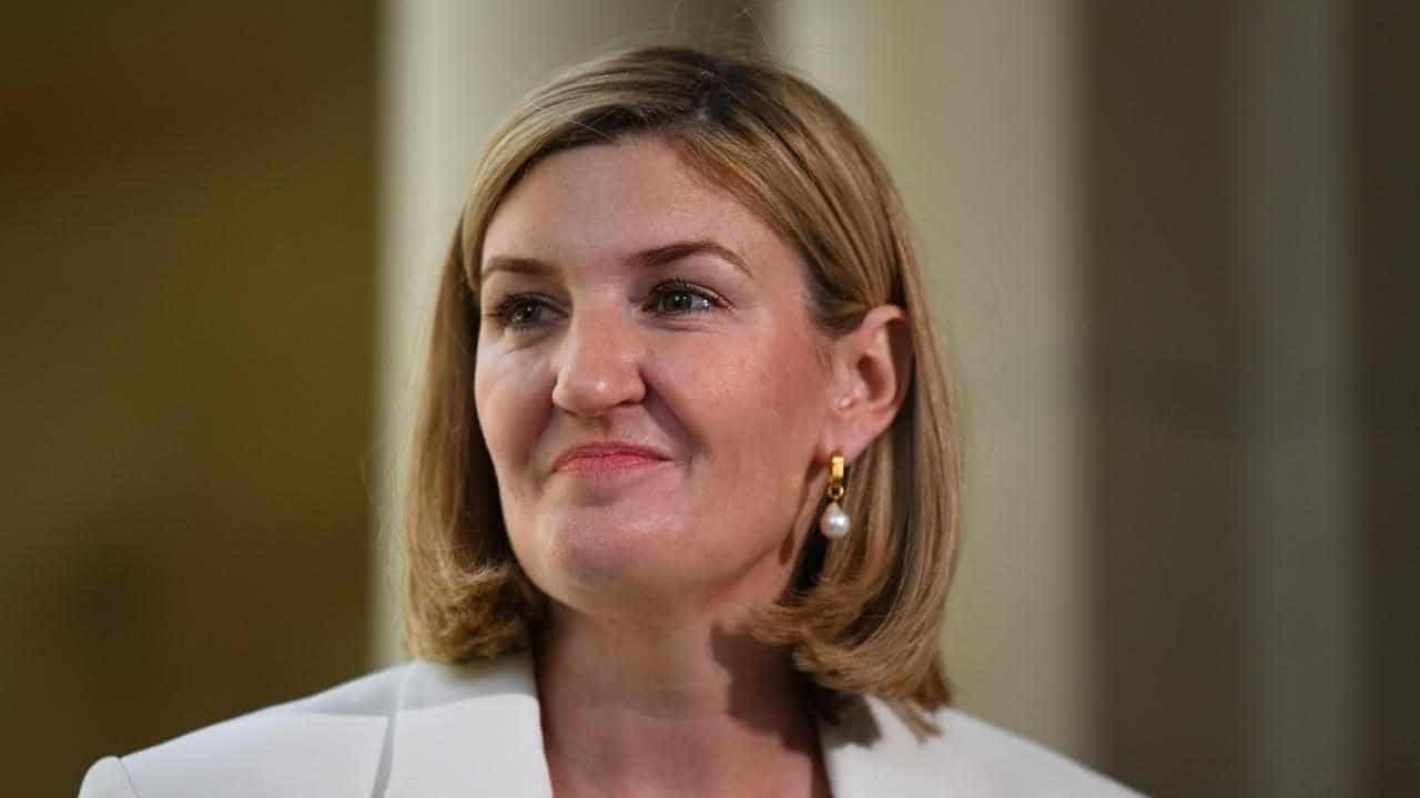 Deputy premier set to face challenge for Qld leadership