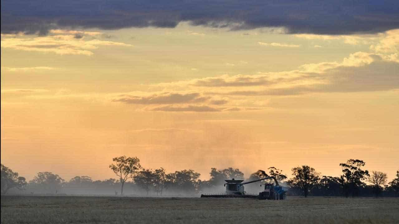 Rural Australians 'crying out' as health gaps revealed