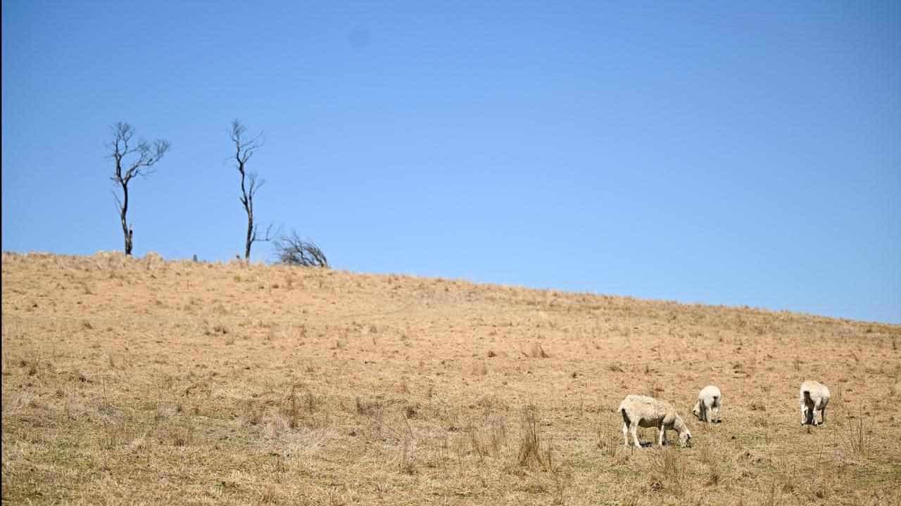 Rural Australians dying earlier, from avoidable illness