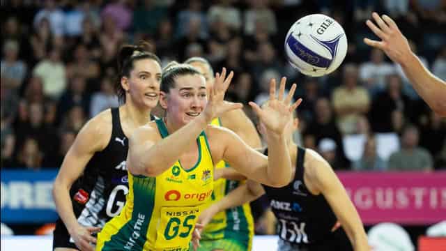 Diamonds shooter Garbin in Vixens' Super Netball mix