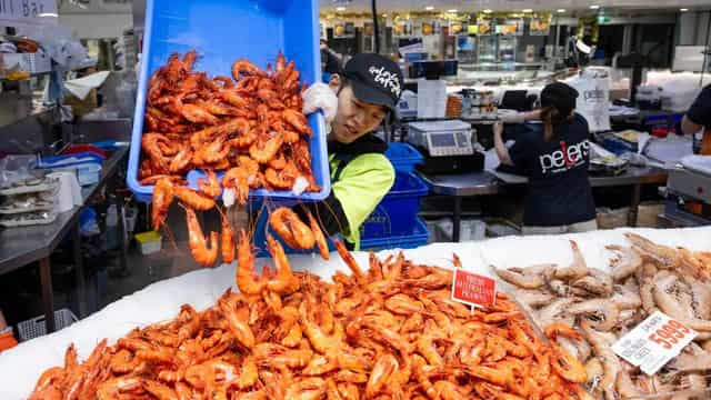 Fish markets gear up for Xmas, with mild weather likely