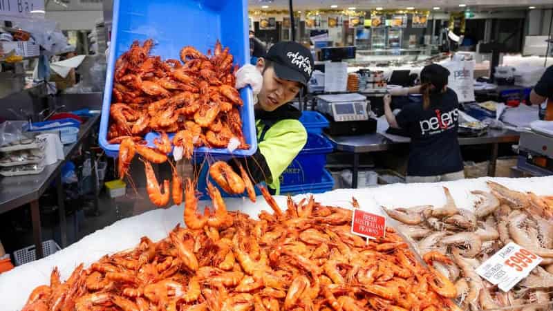 Fish markets gear up for Xmas, with mild weather likely