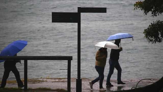 Storms smash Sydney, with flooding rescues under way