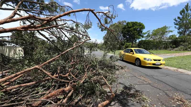 Girl among seven dead as storms ravage Queensland