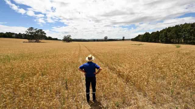 Warning system could save farmers millions of dollars