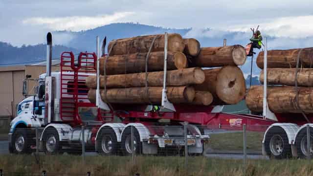 State bans commercial logging of native forests