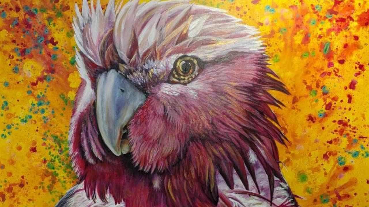 Where's Wally? Hospital galah painting still missing