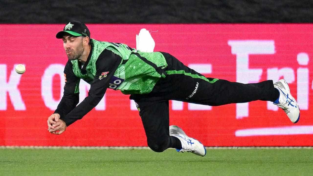 Maxwell shines as Stars belt Renegades in BBL derby