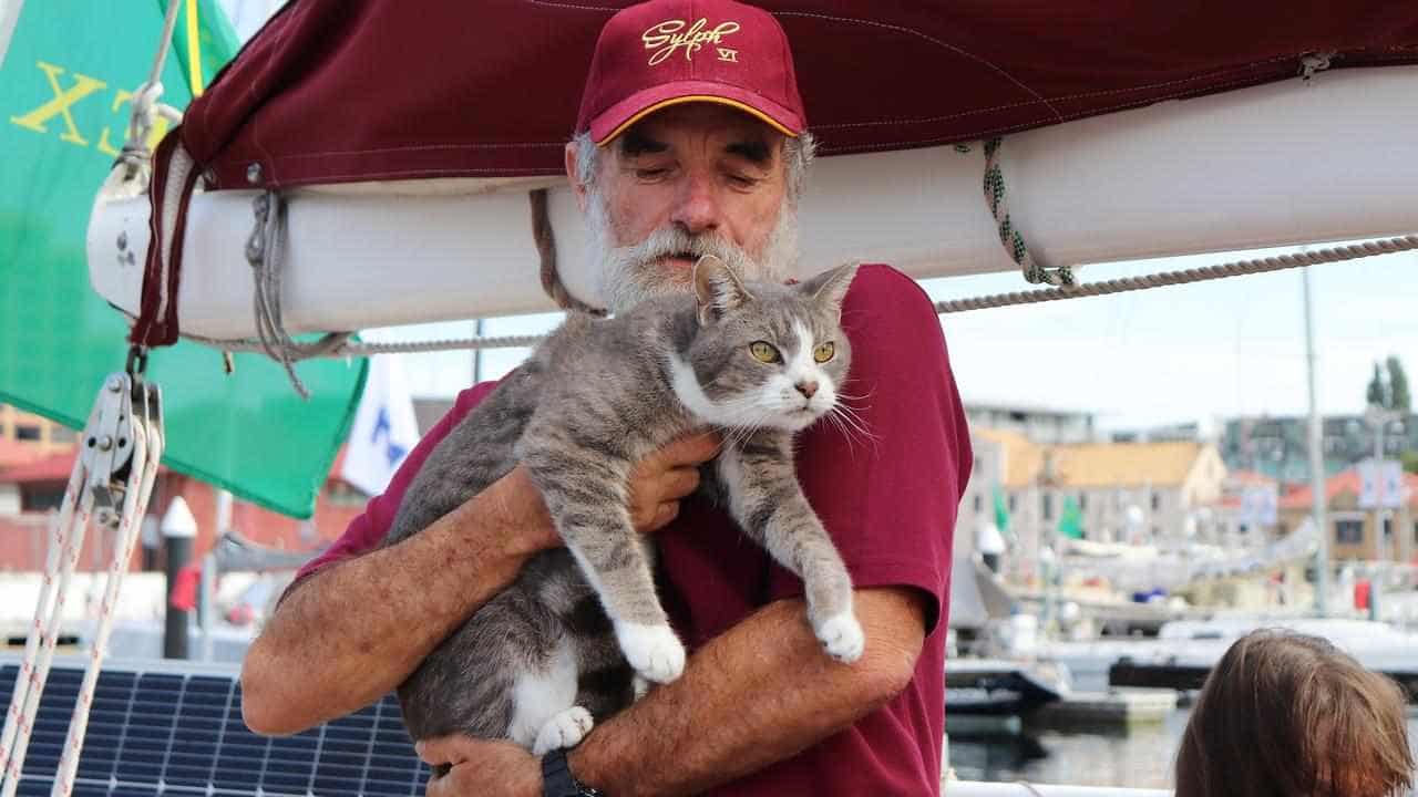 Feline good: ordinary moggie Oli finishes Sydney-Hobart