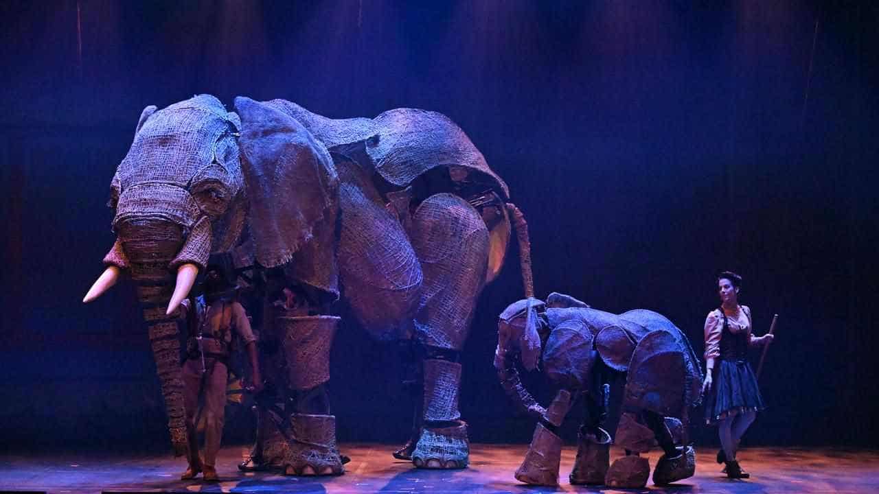 Circus flips into Melbourne with elephants and acrobats