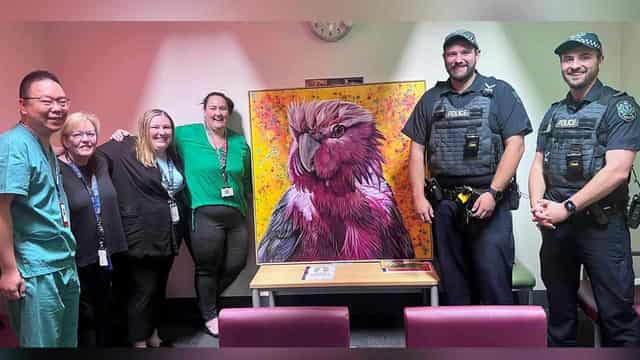 Wally the Galah reunited with relieved hospital staff