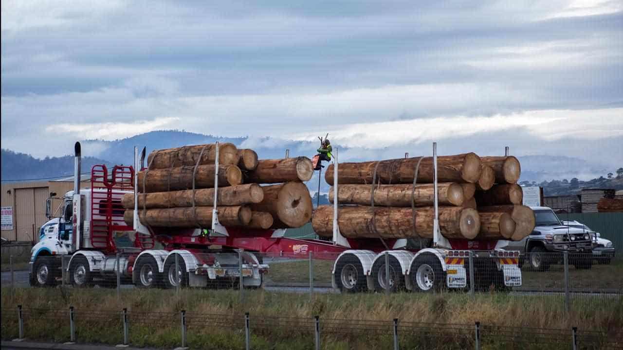 Alcoa mine clearing to supply scarce WA hardwood timber