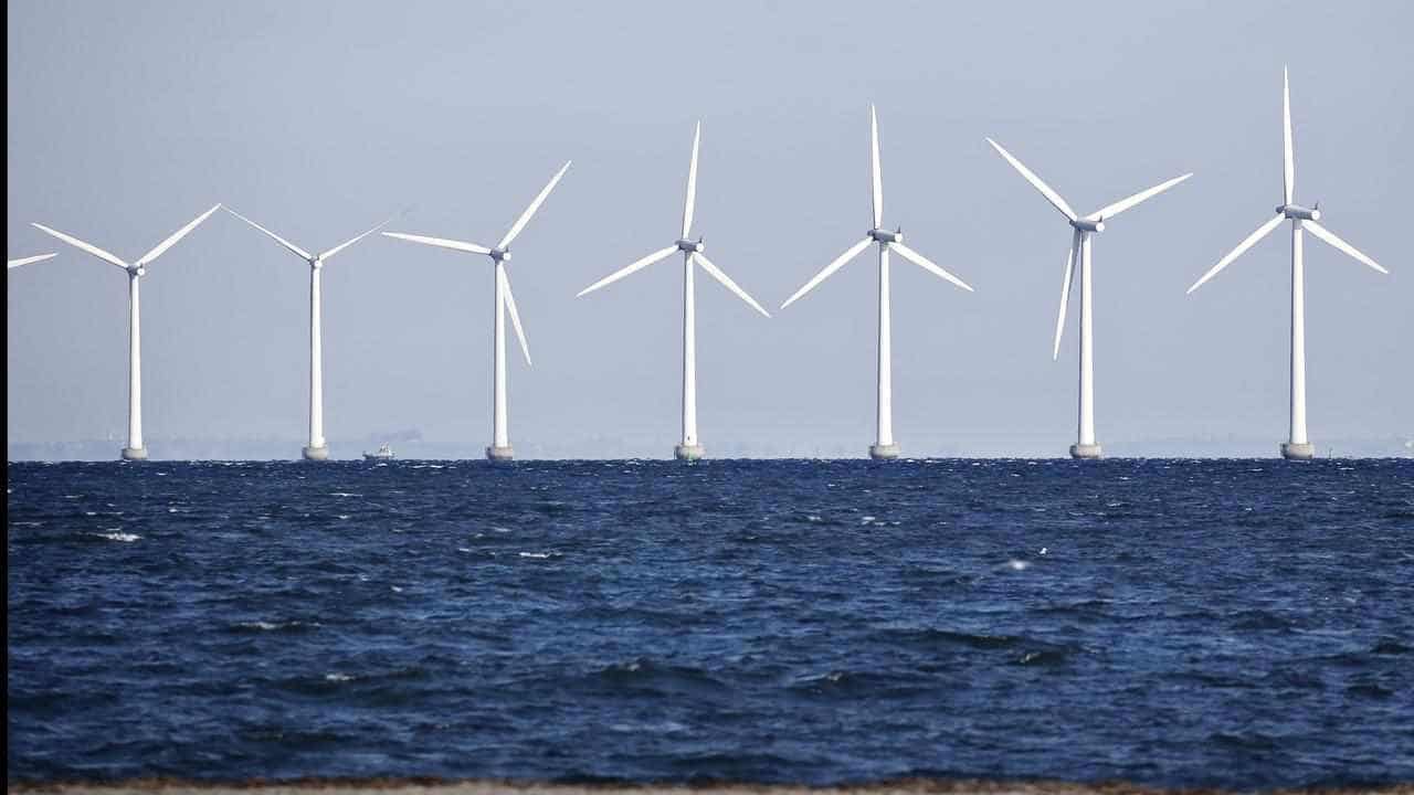 Wetlands trump offshore wind port despite energy push