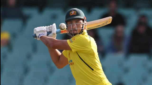 Game not up for Stoinis despite his ODI axing: Bailey