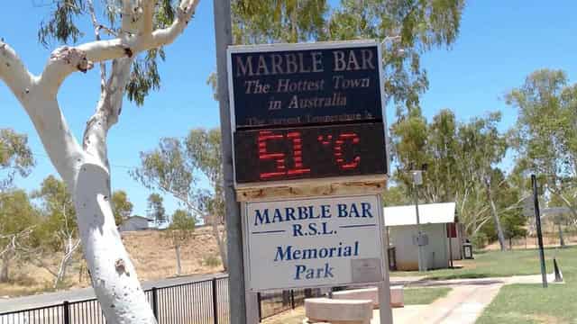 Birds drop from trees as temperatures soar in outback