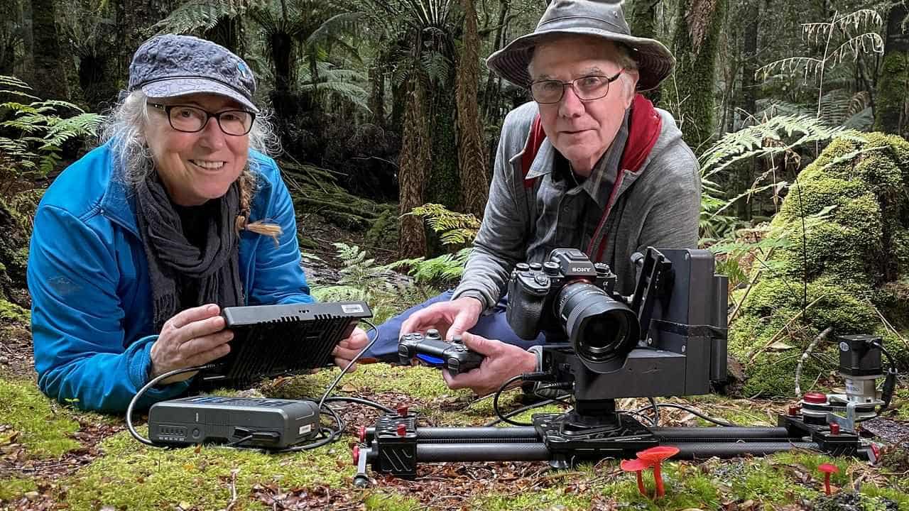 Documentary unearths wonders of Australia's fungi