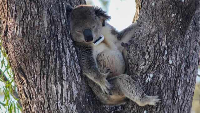 Australian ag tech is helping save endangered species