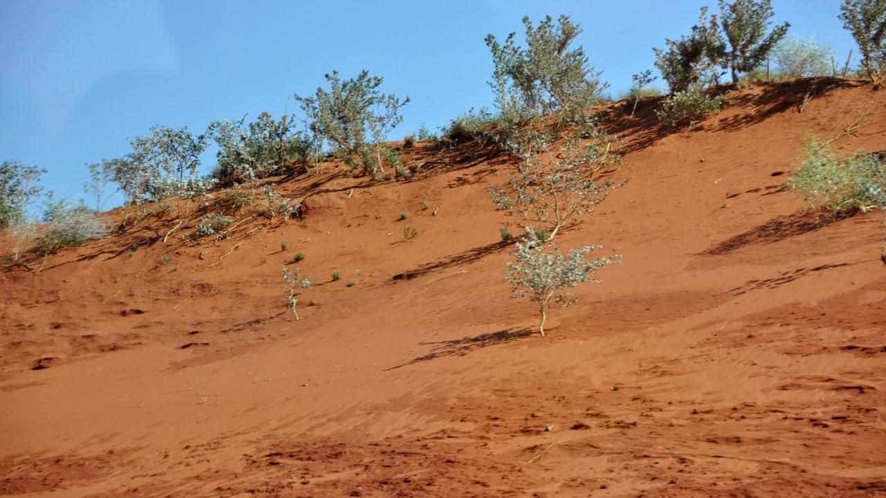 WA swelters with the Pilbara forecast to reach 50C