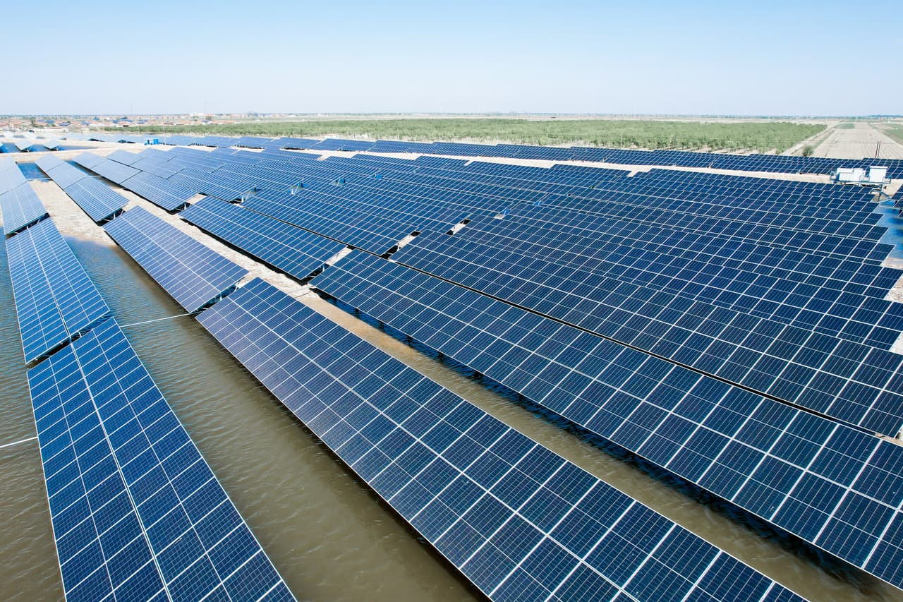 World Wetlands Day | Trina Solar unleashes solar power to safeguard human well-being