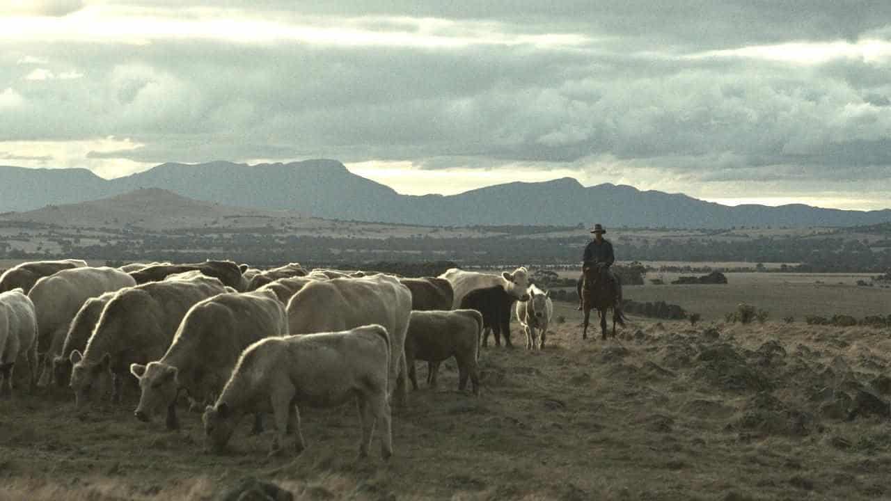 Farmer turns actor in film exploring bush mental health