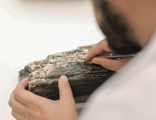 Jeddah Historic District Program: The Discovery of 25.000 Fragments of Artifacts That Dates to the Early Islamic Era
