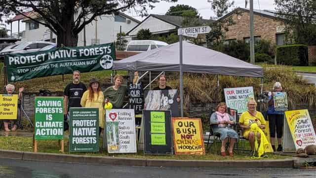 Glider experts left out, fearful of logging changes