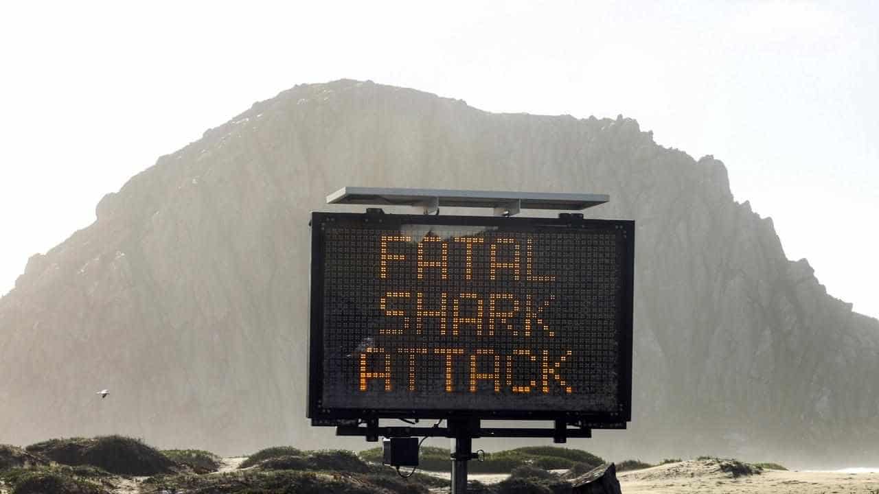 Australia leads world as fatal shark attacks double