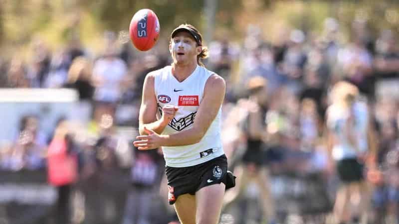 Magpies boss defends Murphy's return from concussion