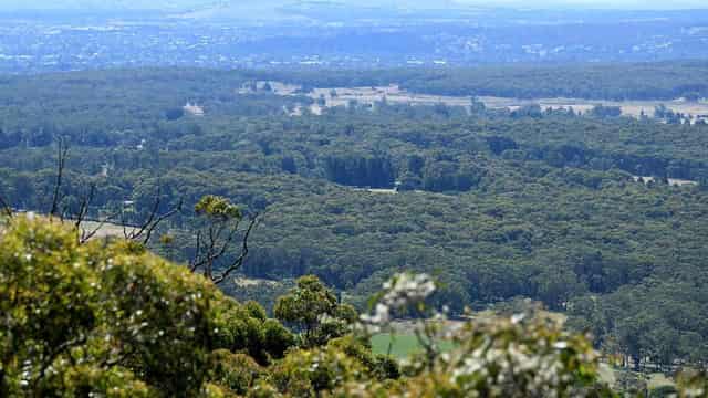 Tough terrain for volunteers in search for missing mum