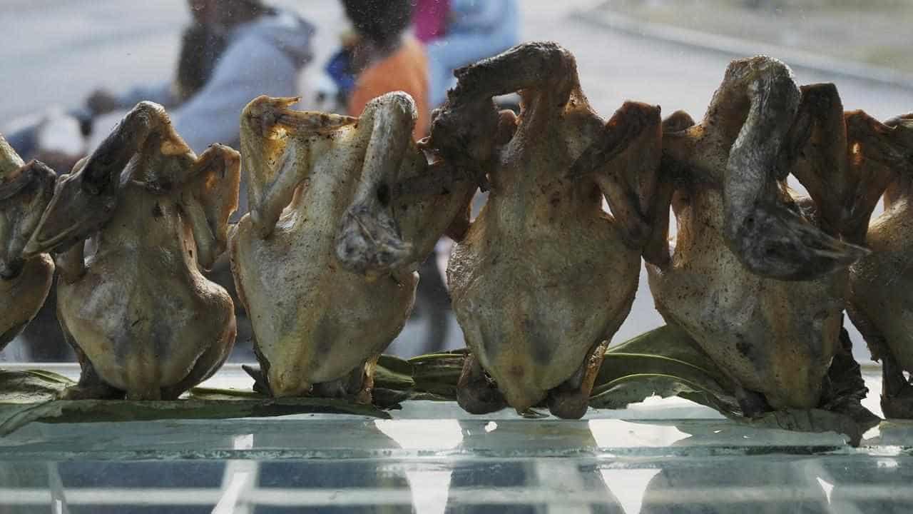 Cambodia reports new bird flu case after boy's death