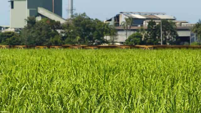 Townsville tapped to turn farm waste into jet fuel