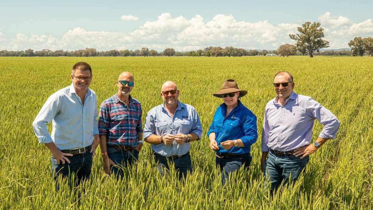 Kelloggs and farmers celebrate 100 years in Australia