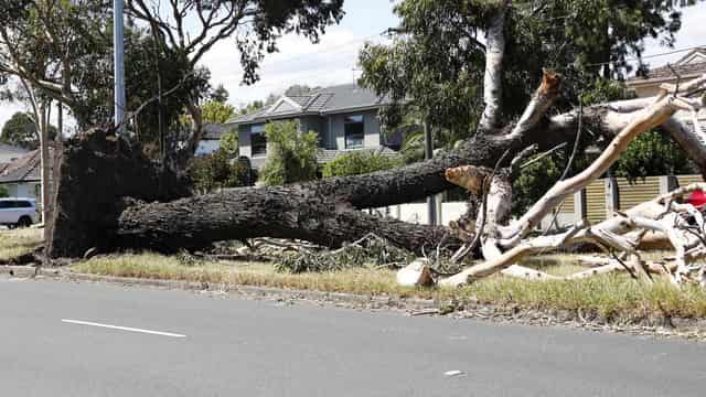 Recovery effort begins for communities lashed by storms