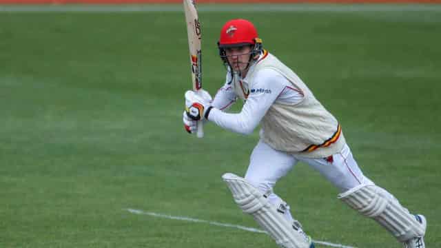 Carey's 90 helps SA to handy Shield lead against Bulls