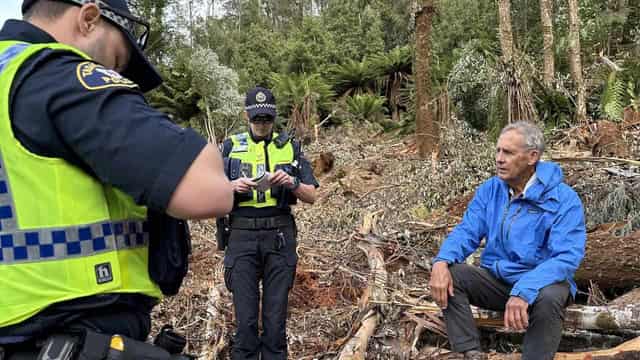 Bob Brown charge, ban over giant tree logging protest