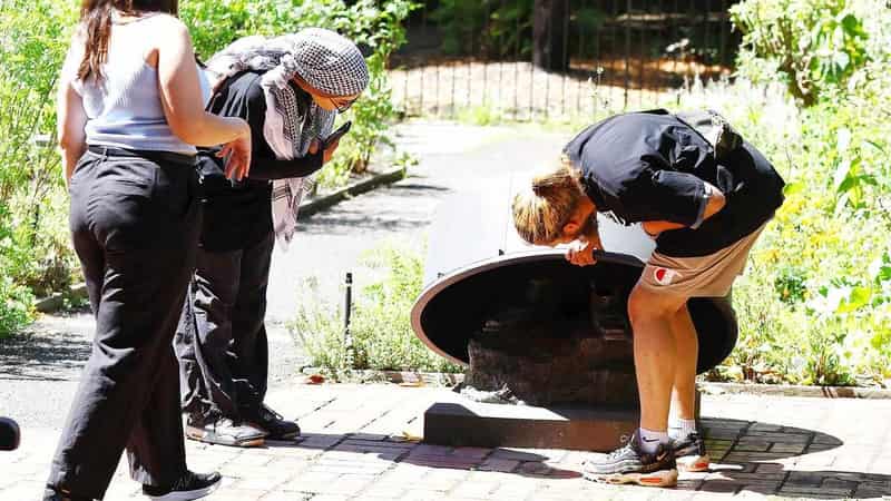 Another Captain Cook statue toppled by vandals