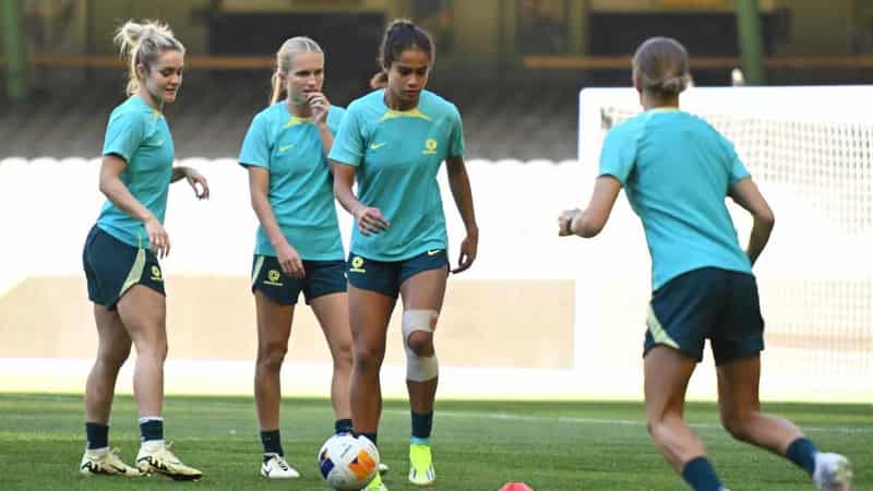 Matildas have no concerns over Marvel Stadium pitch