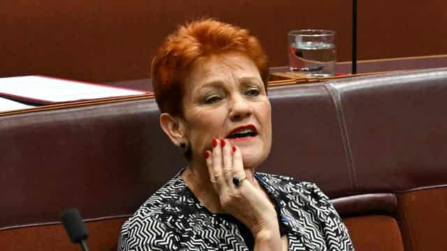 Defamation case not a Pauline Hanson 'royal commission'