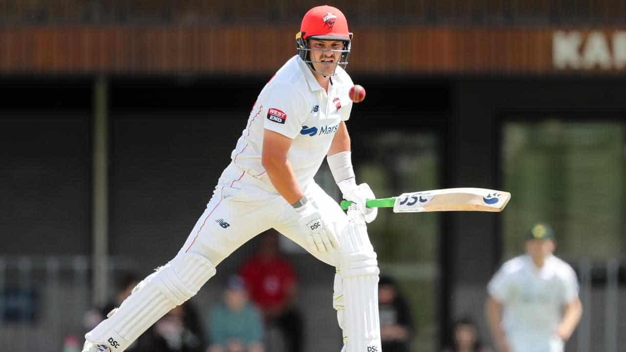 Manenti half-century settles Redback wobble against NSW