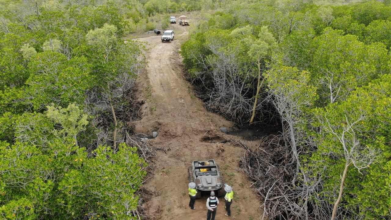 Big fine for owner who ripped out mangroves for road