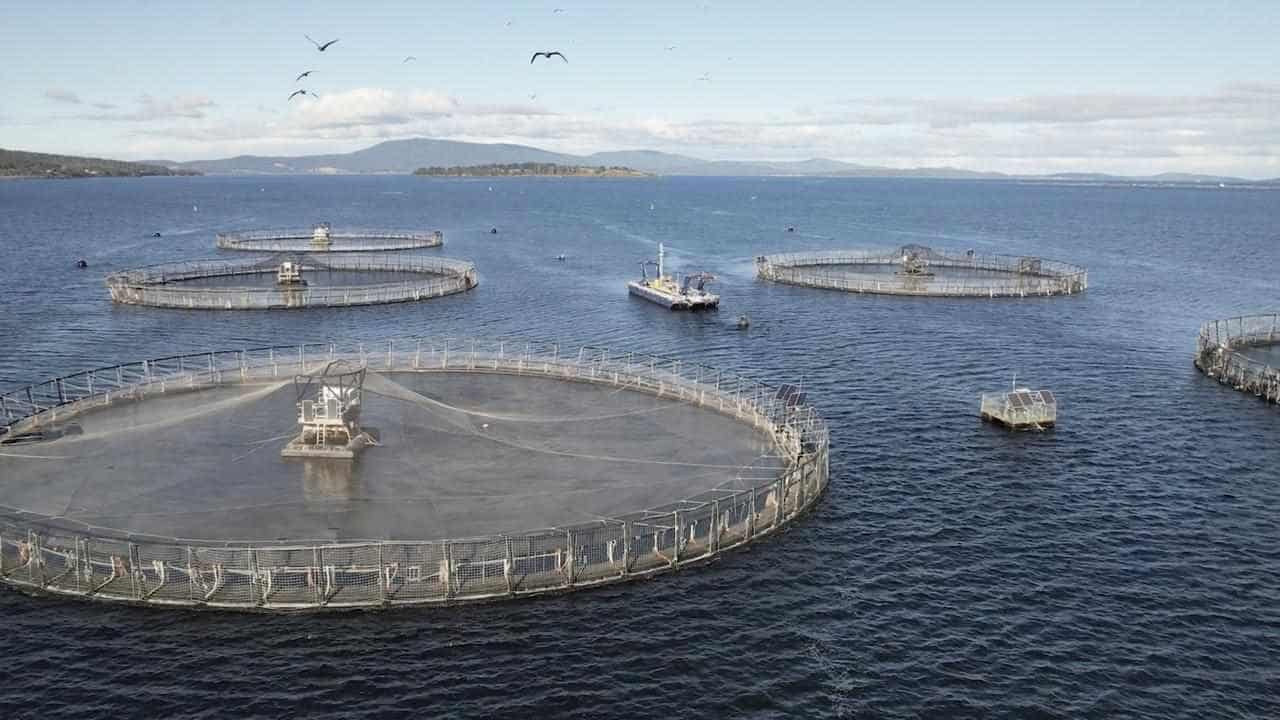 Climate change driving fish producers to new technology