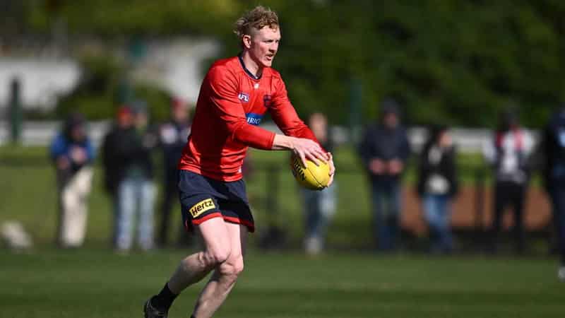 Oliver's AFL form one bonus as Demons lick wounds