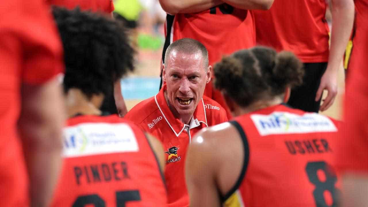 Coach defends Wildcats as Tasmania 'defend the island'