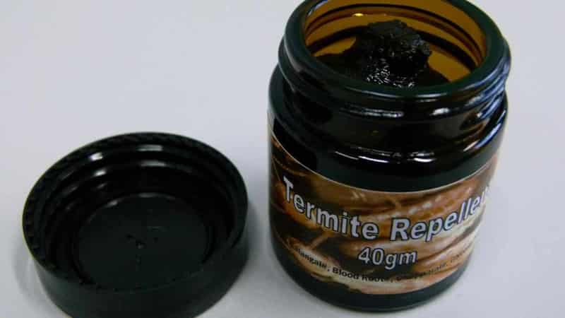 Black salve 'cancer cure' makes the skin crawl