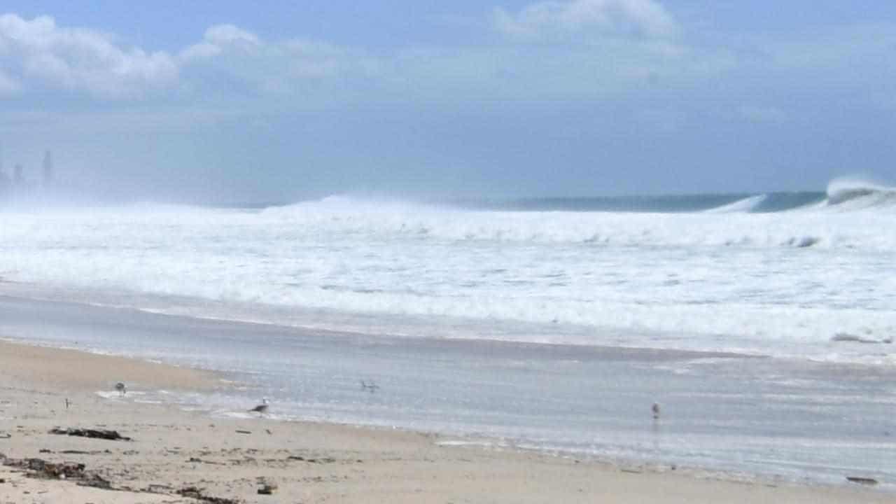 Teenage girl survives suspected shark attack at beach