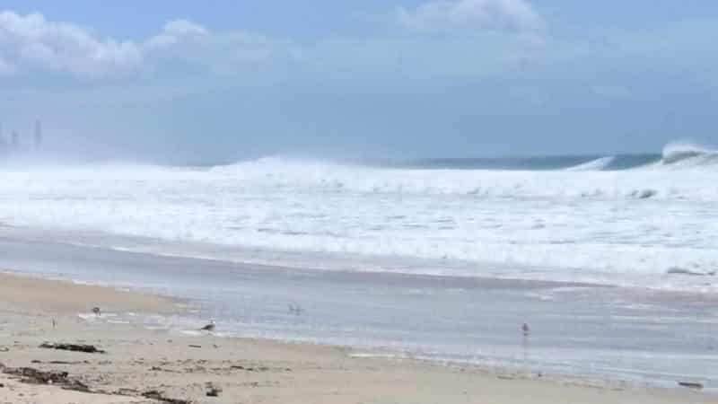 Teenage girl survives suspected shark attack at beach