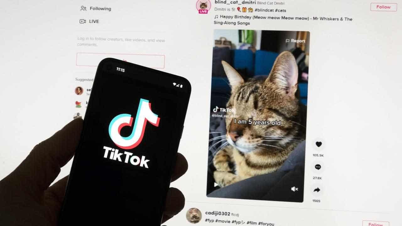 Opposition wants TikTok split from Chinese parent firm