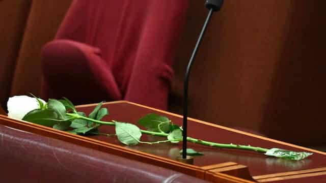 Late senator's legacy marked by tears, bread and roses