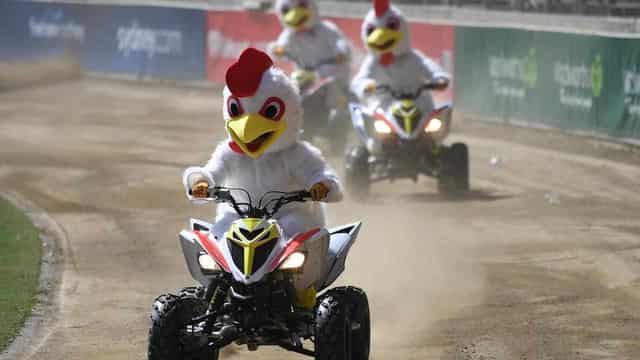 'Cost of living crunch' considered at Easter show